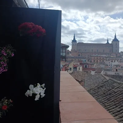 terraza mirador.webp
